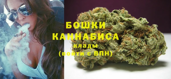 шишки Бугульма