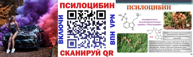 Галлюциногенные грибы Cubensis  Купить  Вязники 